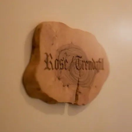 Le Отель Тирана